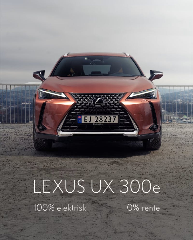 Lexus UX 300e
